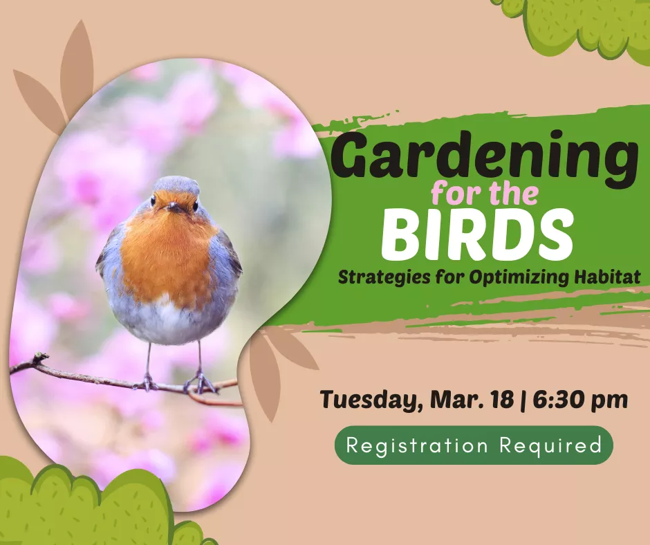 a brown graphic with green accents with a picture of a robin on a branch against a flowery background in a bubble on the left with text on the left that reads &quot;Gardening for the Birds: Strategies for Optimizing Habitat, Tuesday, Mar. 18 | 6:30 pm, Registration required&quot;